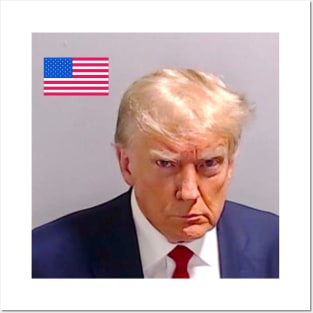 Trump official mugshot Posters and Art